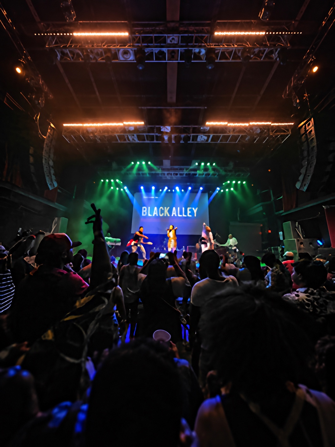 Black Alley performs onstage before a crowded concert audience.