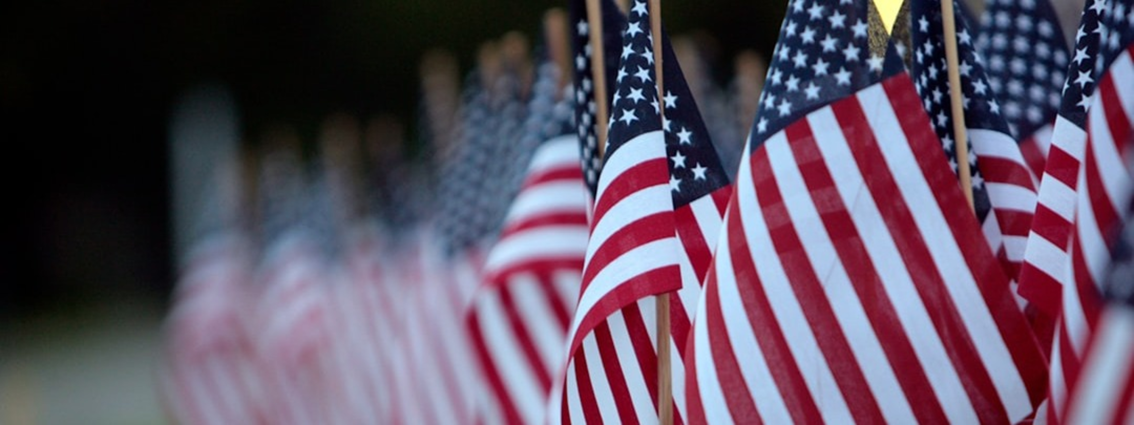 Rows of small U.S. flags recede into the distance.
