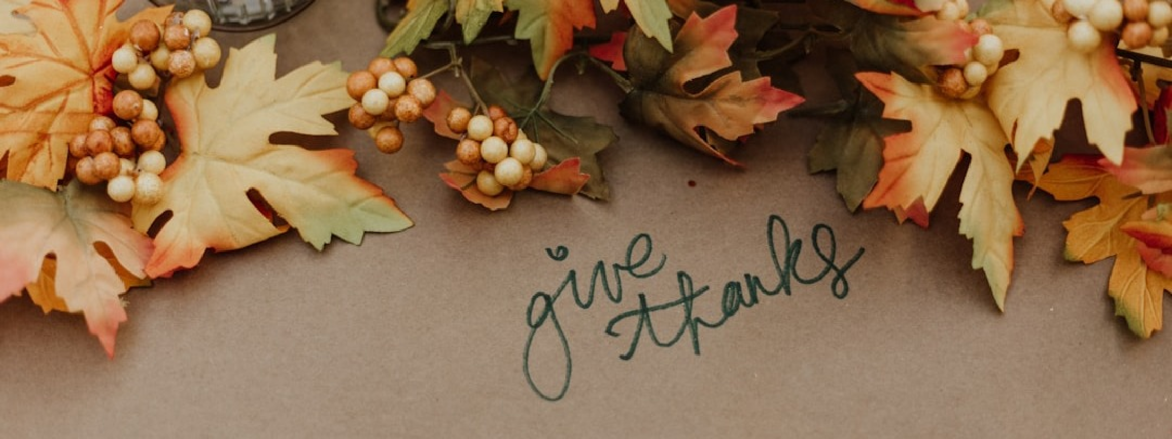 “Give thanks” is written on paper surrounded by autumn leaves and berries.
