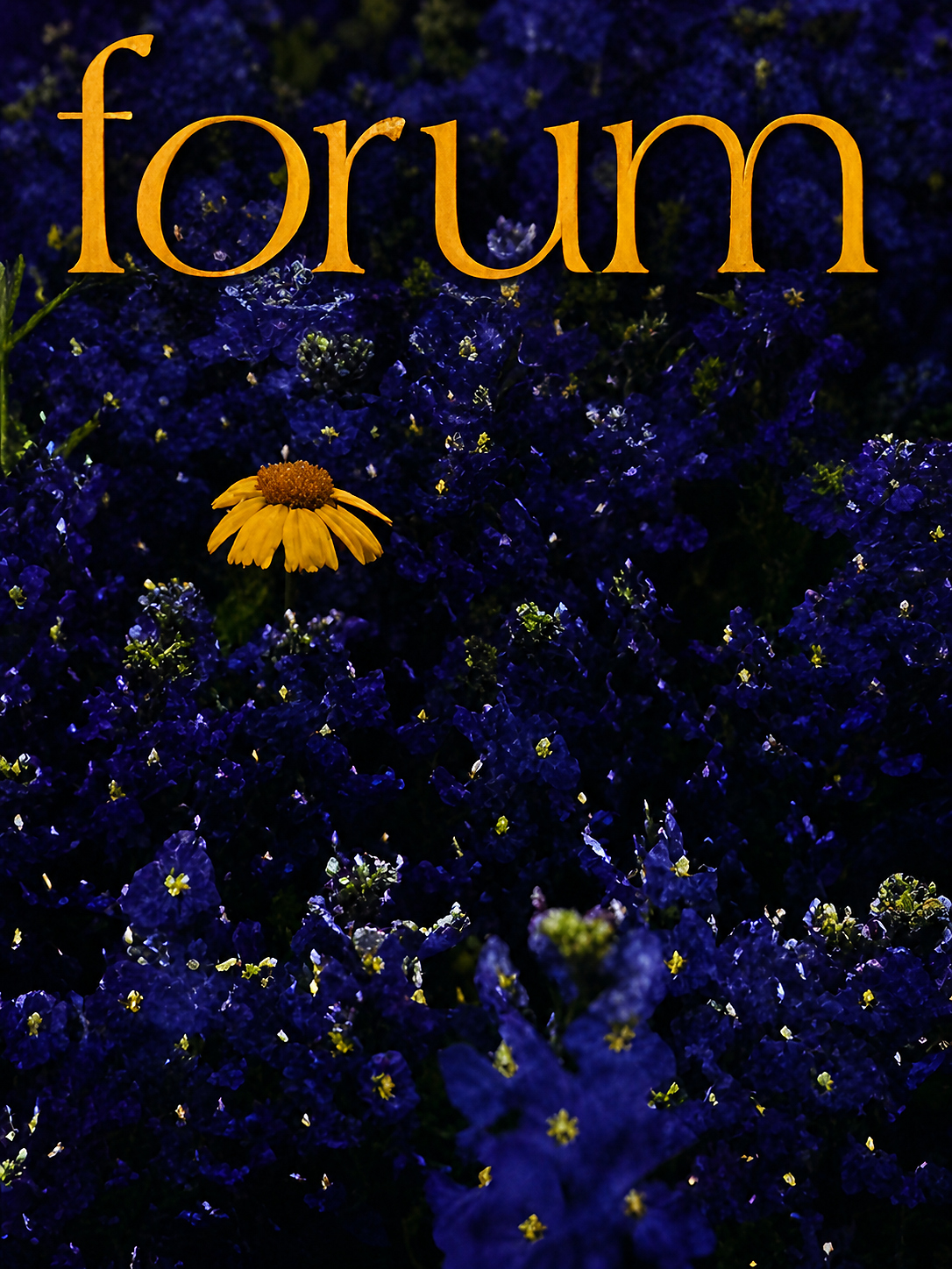 Cover of English Teaching Forum 2001, Volume 39, Number 4